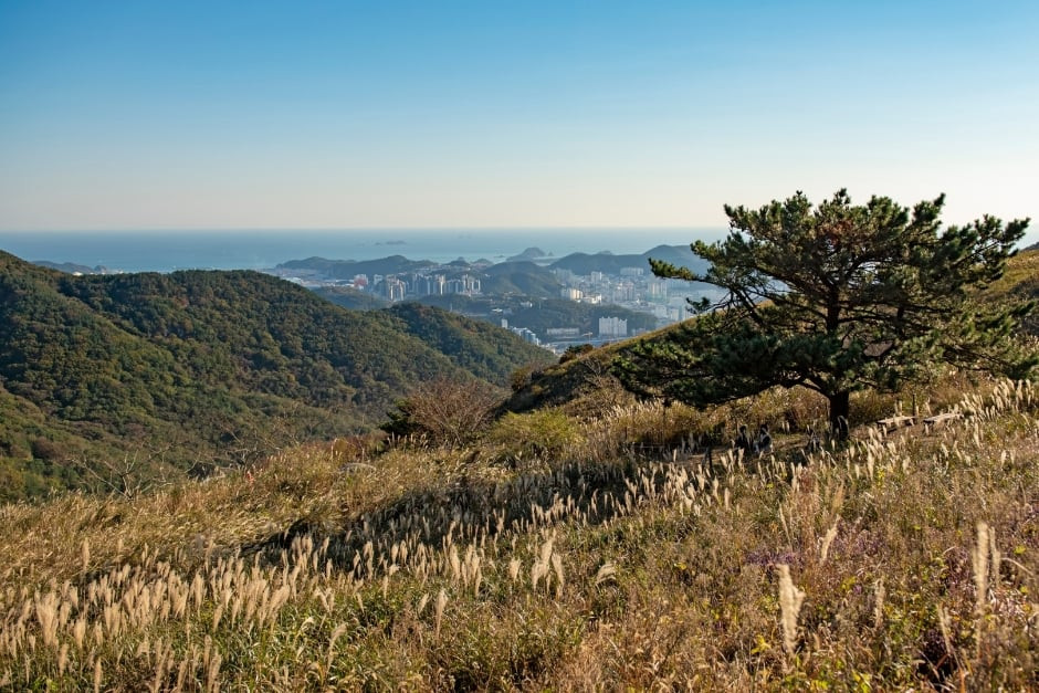 승학산 여행 추천 - 로드트립