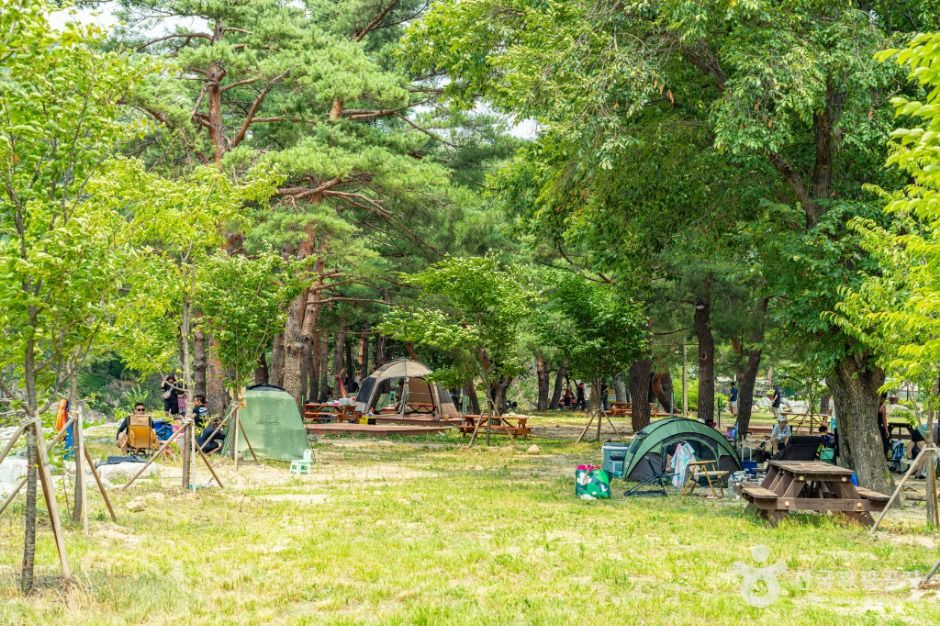 장신유원지 여행 추천 - 로드트립