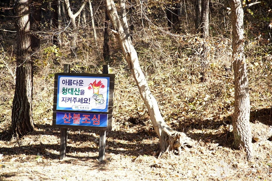 청대산 여행 추천 - 로드트립