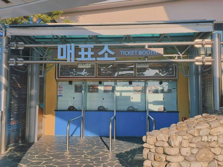 한화리조트 설악 워터피아 여행 추천 - 로드트립