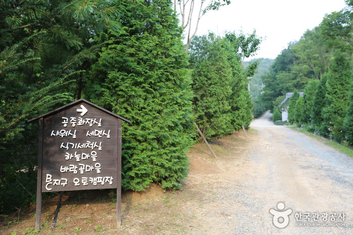 횡성자연휴양림 여행 추천 - 로드트립
