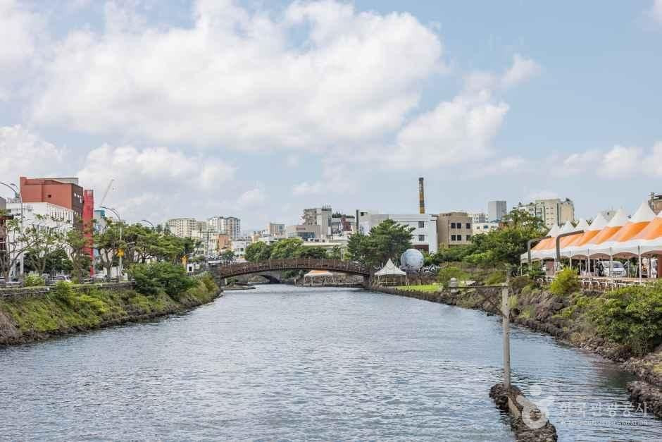 산지천 여행 추천 - 로드트립