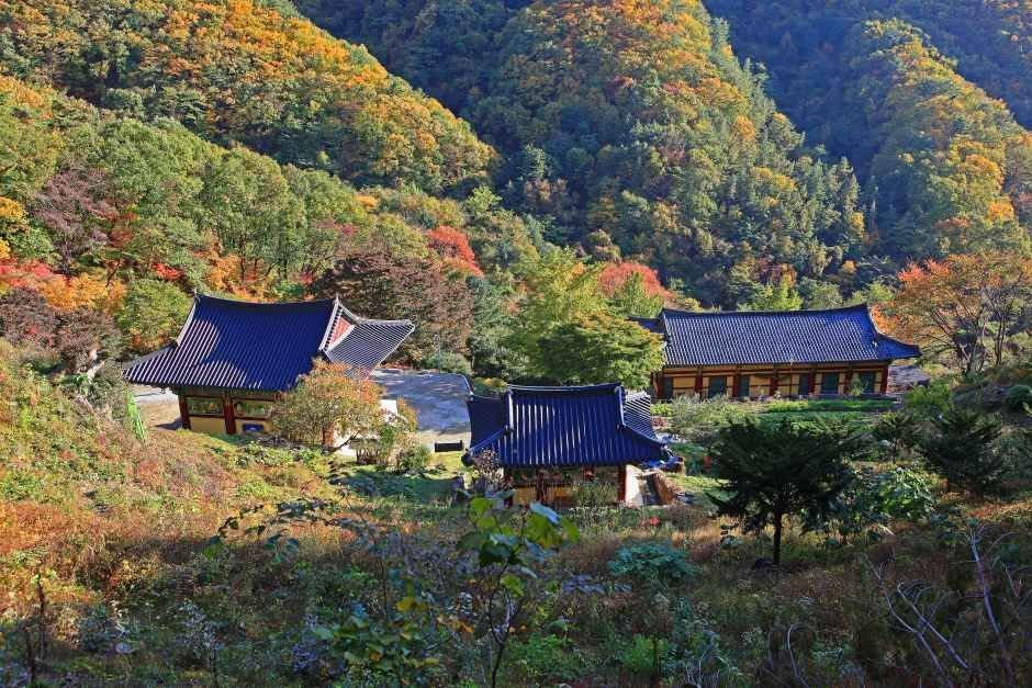 영원사(원주) 여행 추천 - 로드트립