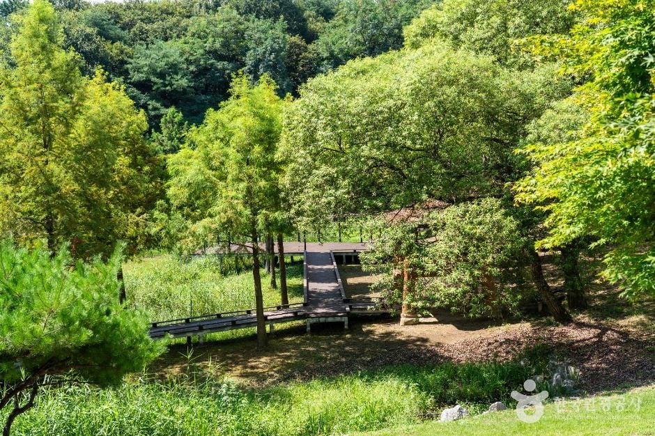 추동인공생태습지 여행 추천 - 로드트립