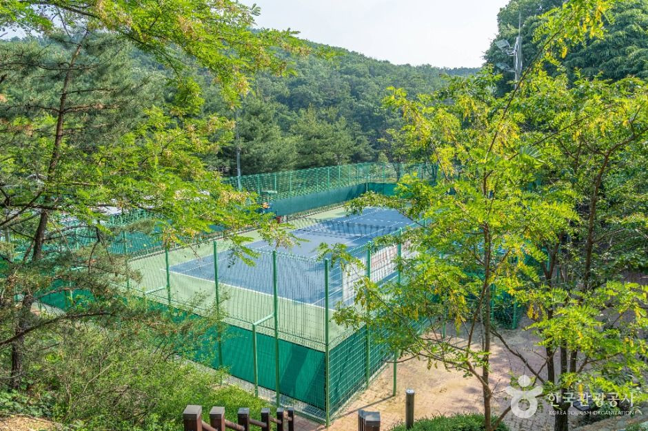 성주산생활체육공원 여행 추천 - 로드트립