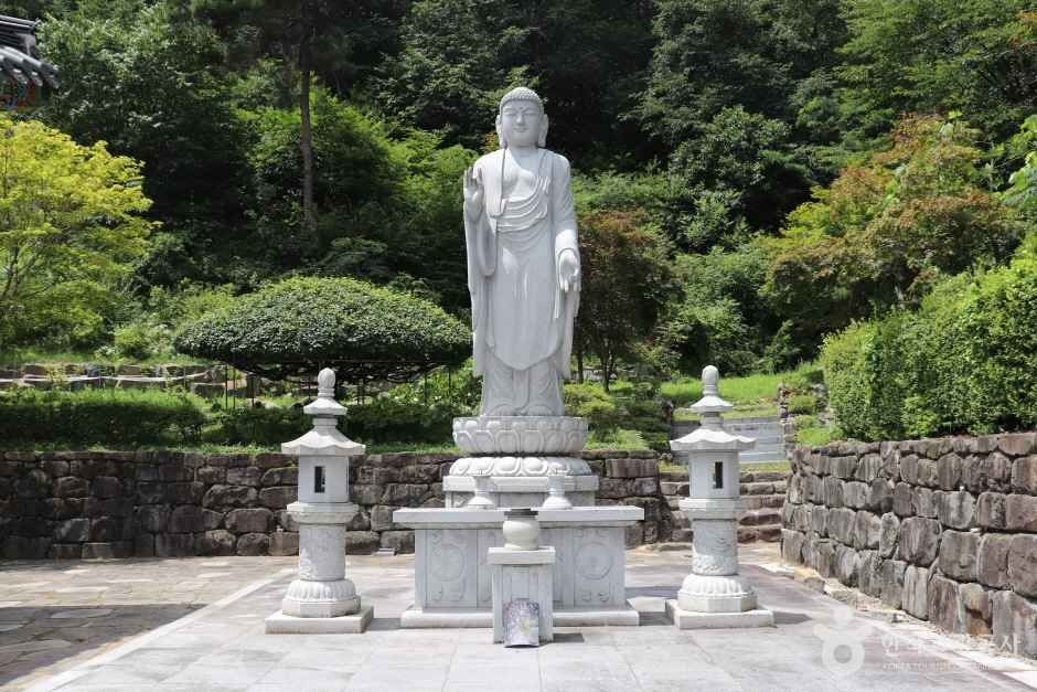 학림사(세종) 여행 추천 - 로드트립