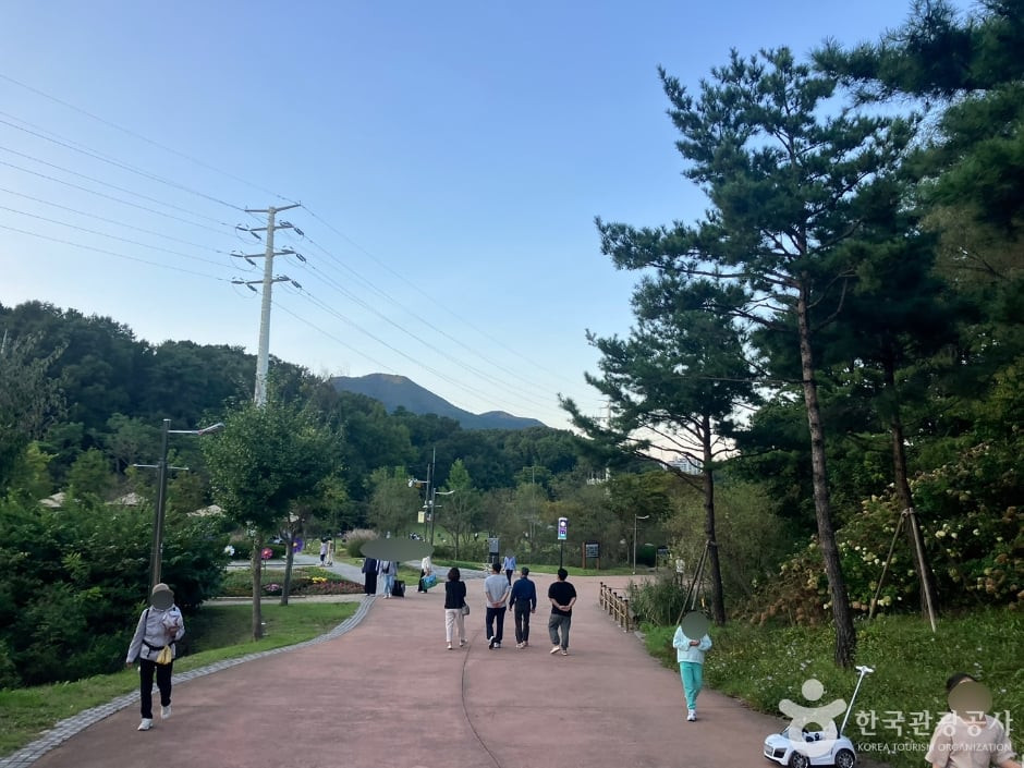 초막골생태공원 여행 추천 - 로드트립
