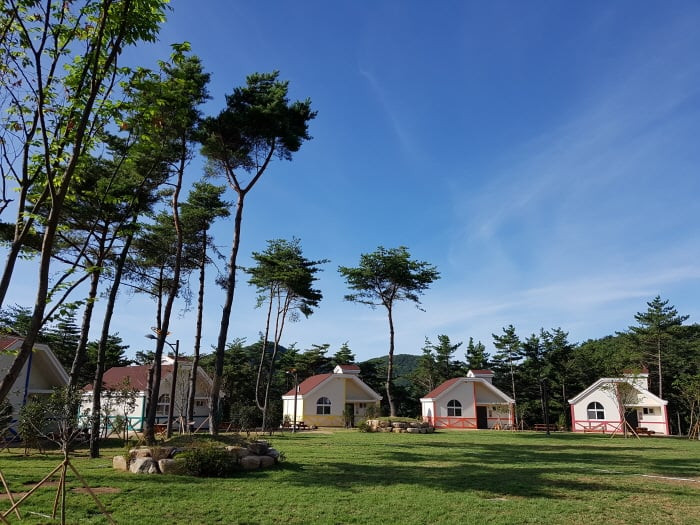 국립 달음산자연휴양림 여행 추천 - 로드트립