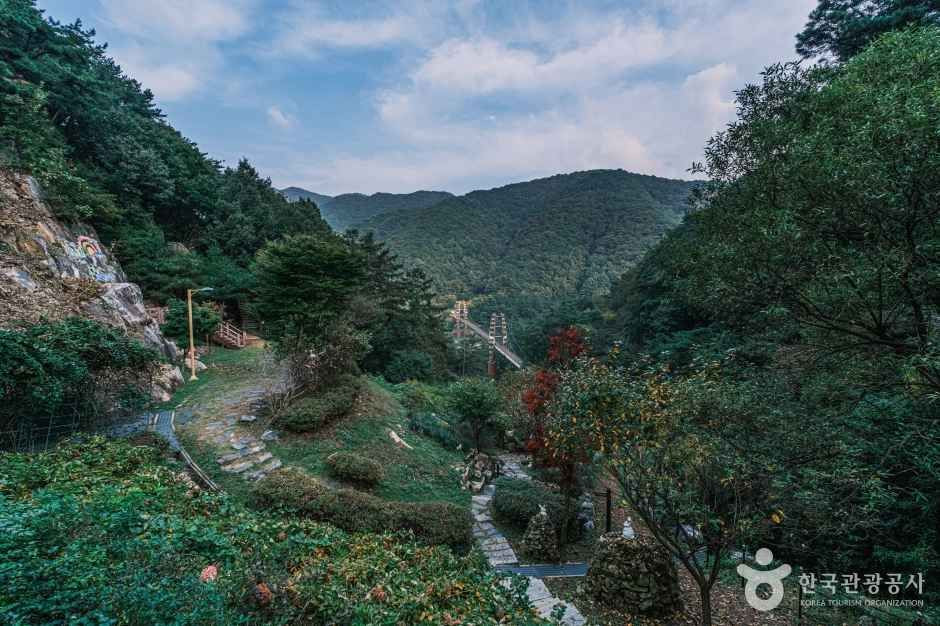 좌구산 자연휴양림 여행 추천 - 로드트립