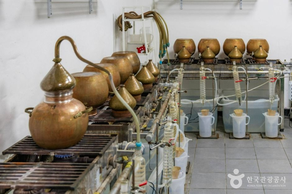 삼해소주 여행 추천 - 로드트립