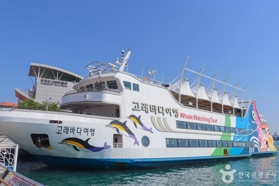 장생포 고래바다여행선 여행 추천 - 로드트립