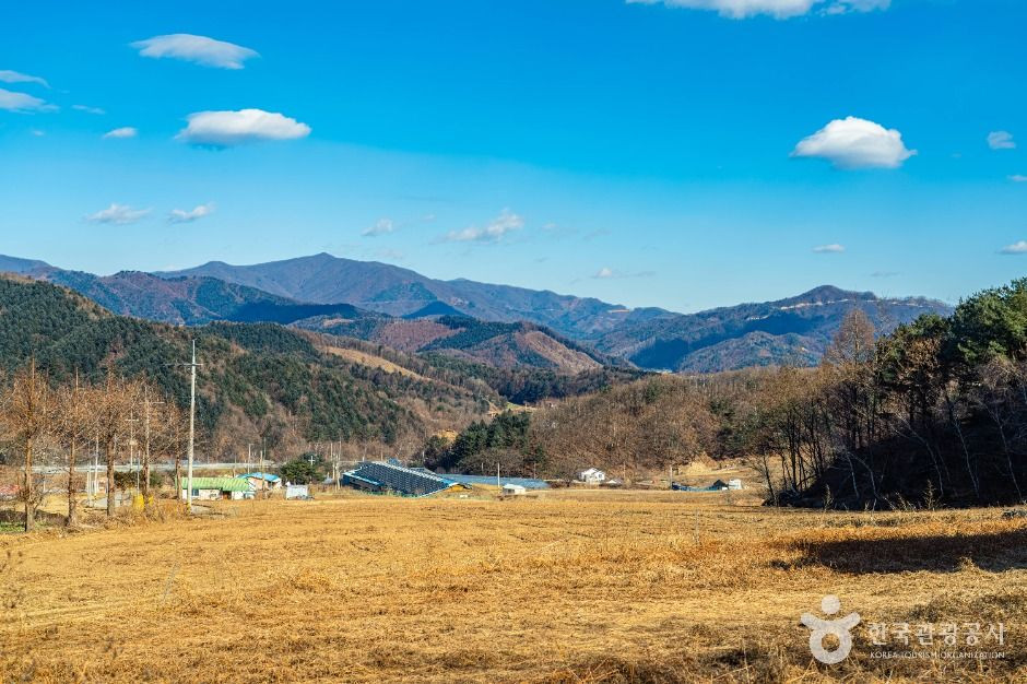 고랭길 여행 추천 - 로드트립