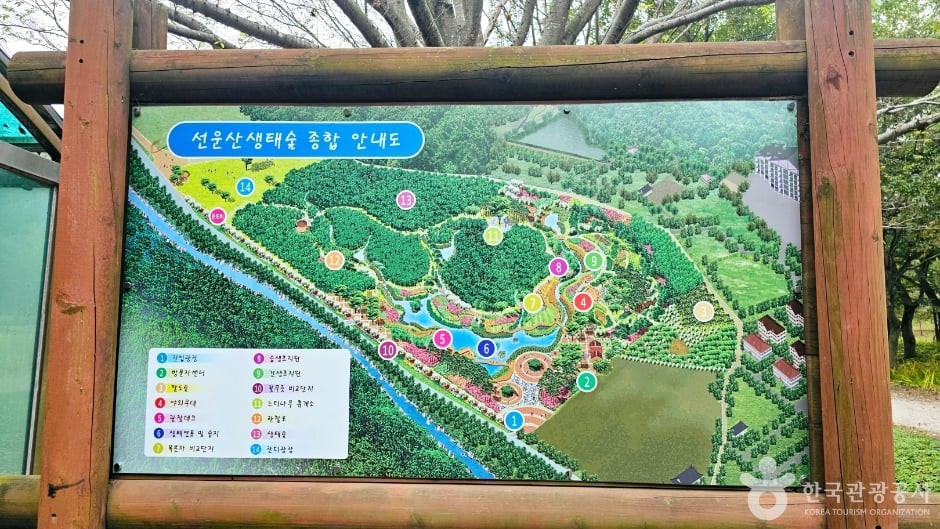 선운산 생태숲 여행 추천 - 로드트립