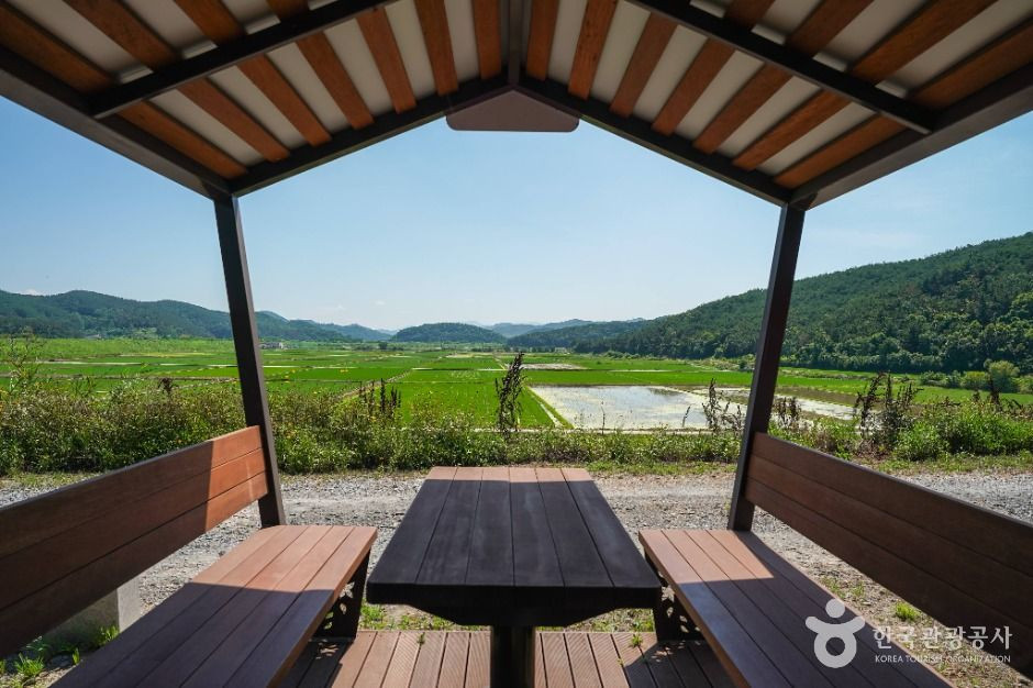 우포출렁다리 여행 추천 - 로드트립