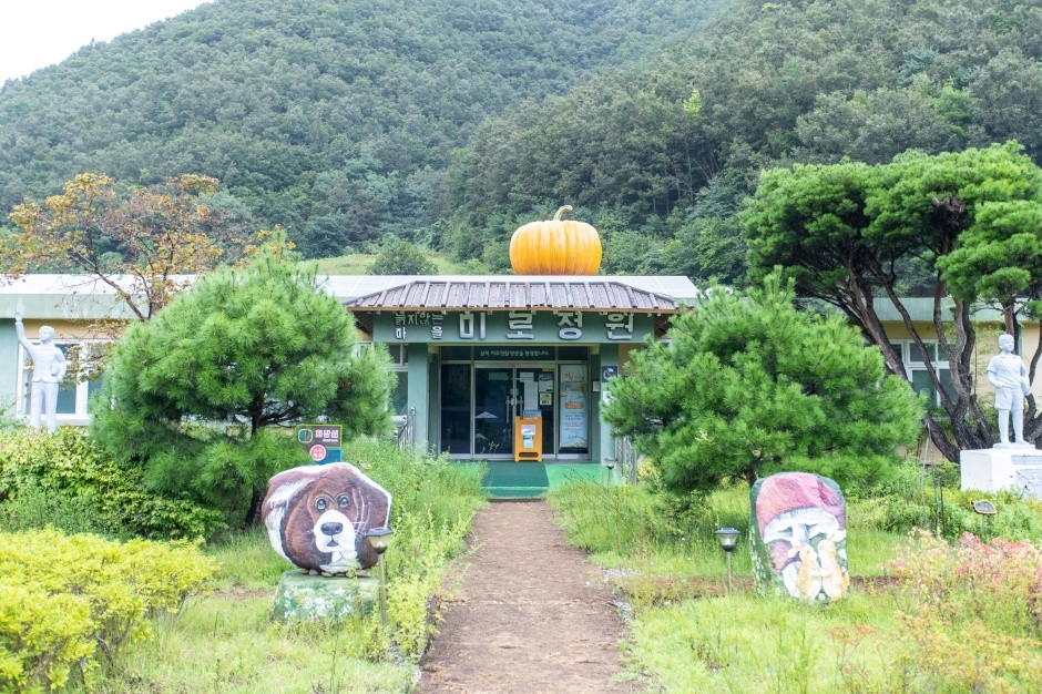 삼척미로정원 여행 추천 - 로드트립