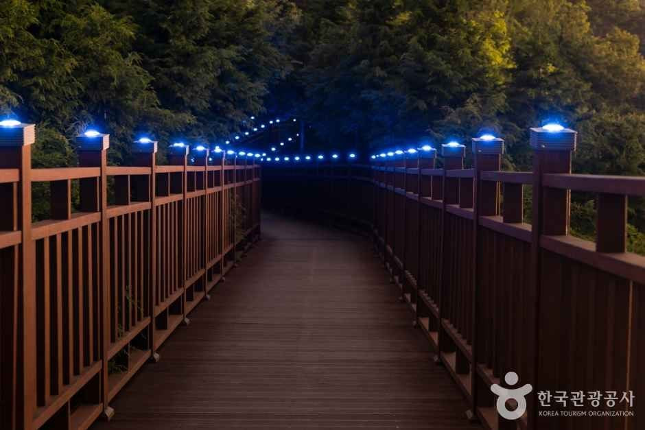 봉래산(부산) 여행 추천 - 로드트립