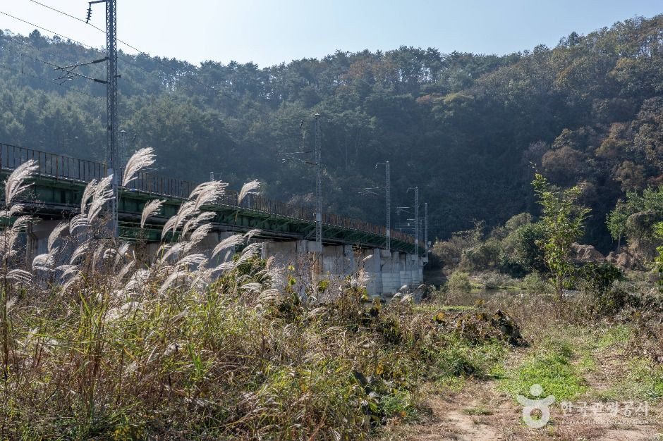 진소마을 여행 추천 - 로드트립
