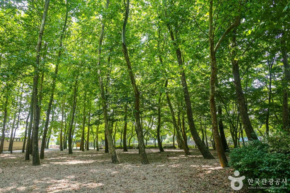 송산유원지 여행 추천 - 로드트립