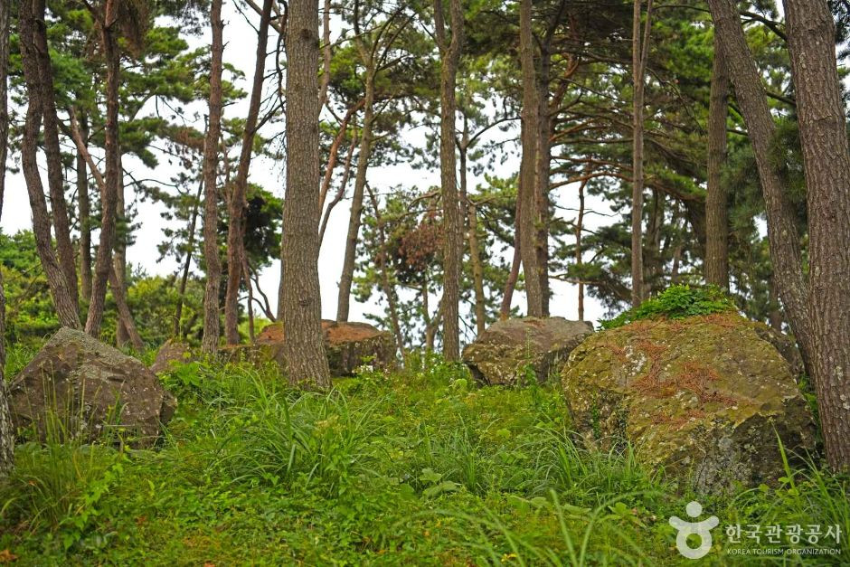 영광 성산리 지석묘군 여행 추천 - 로드트립