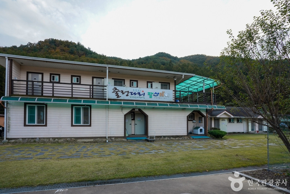 예천 출렁다리마을 여행 추천 - 로드트립