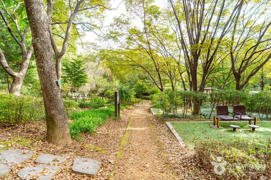 계남근린공원 여행 추천 - 로드트립