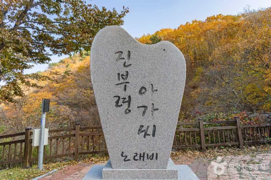 진부령 여행 추천 - 로드트립