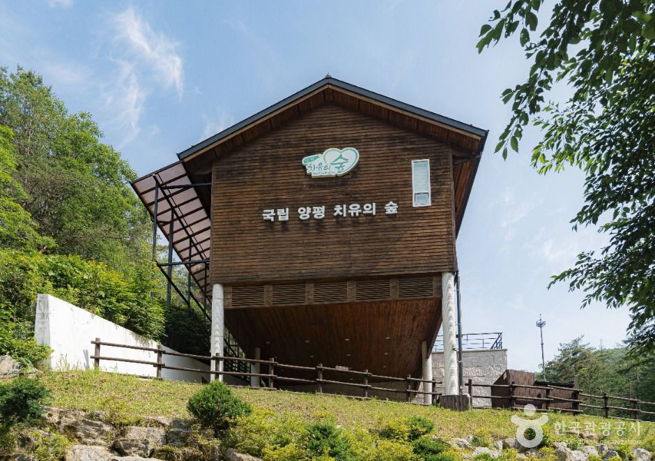 국립양평치유의숲 여행 추천 - 로드트립