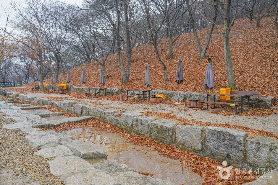 헤이리농원 여행 추천 - 로드트립