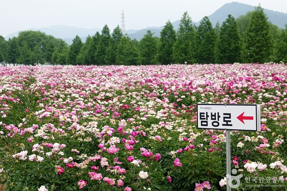 핫들생태공원 여행 추천 - 로드트립