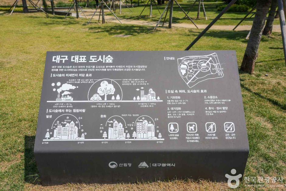 대구 대표 도시숲 여행 추천 - 로드트립