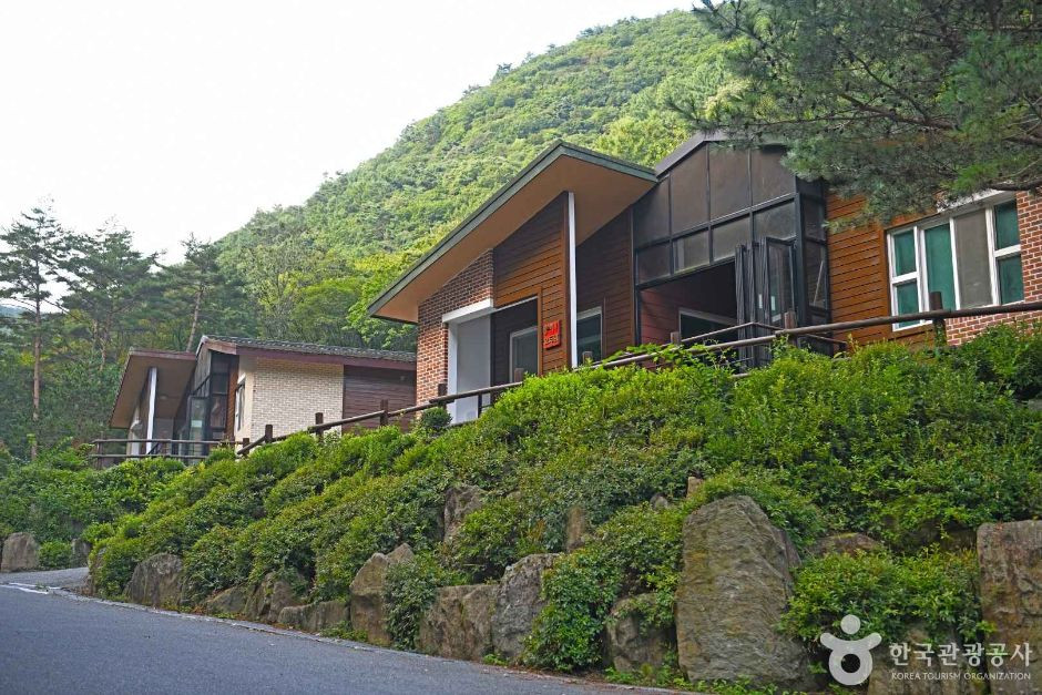 망경대산자연휴양림 여행 추천 - 로드트립