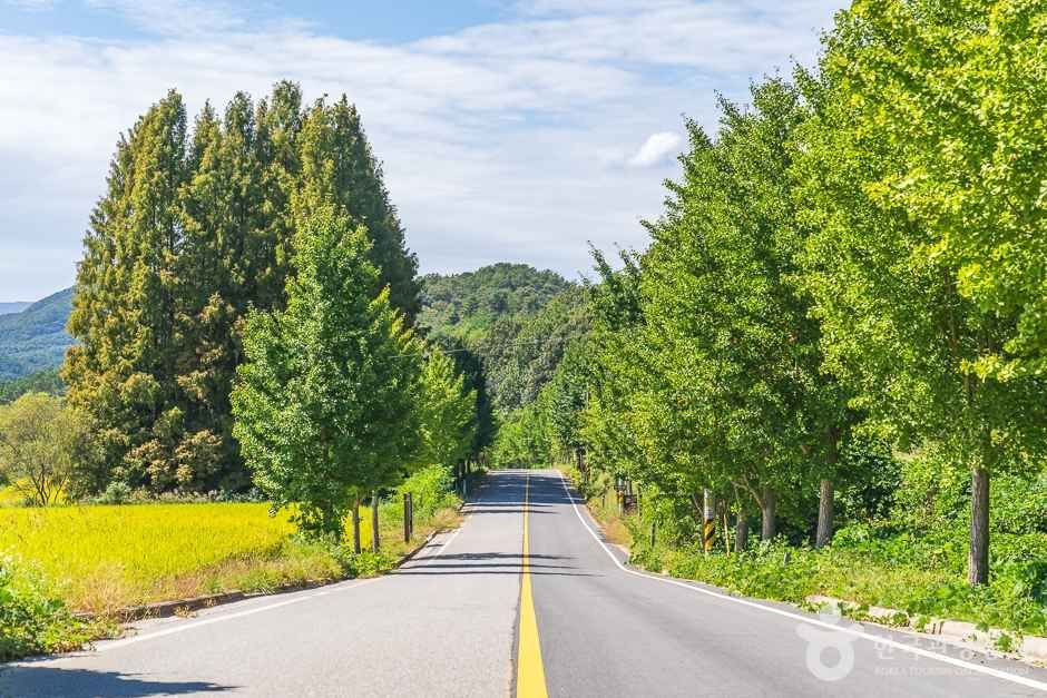 비암사 도깨비도로 여행 추천 - 로드트립