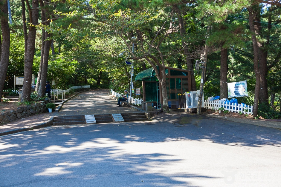 사라봉공원 여행 추천 - 로드트립