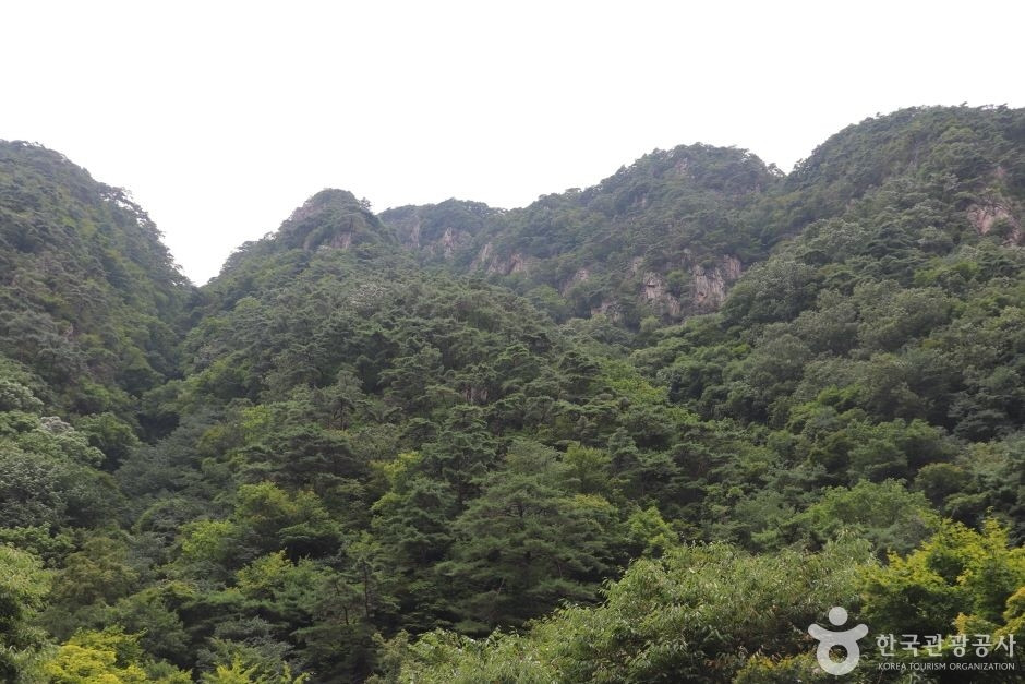 군자산 여행 추천 - 로드트립