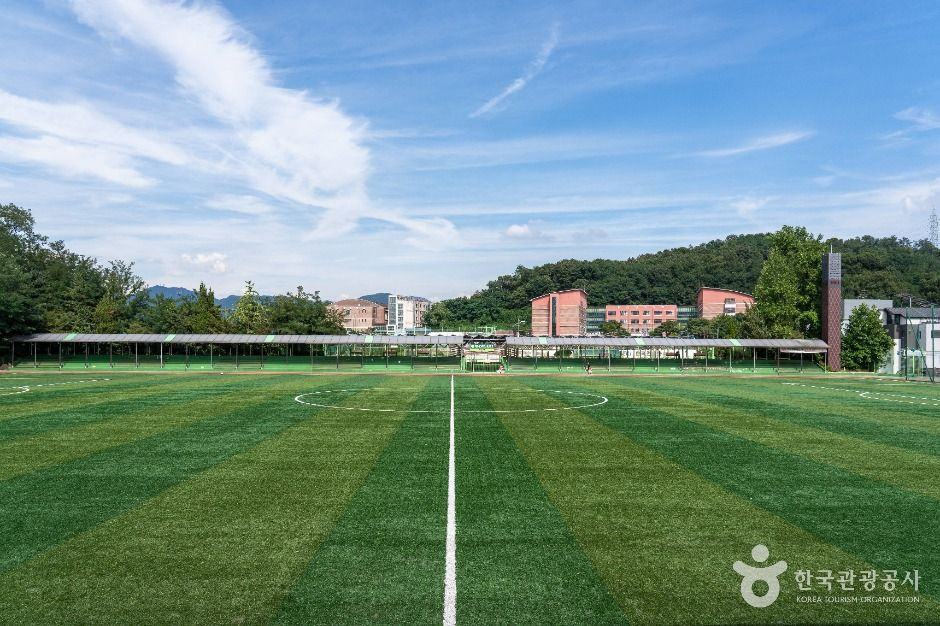 내손체육공원 여행 추천 - 로드트립