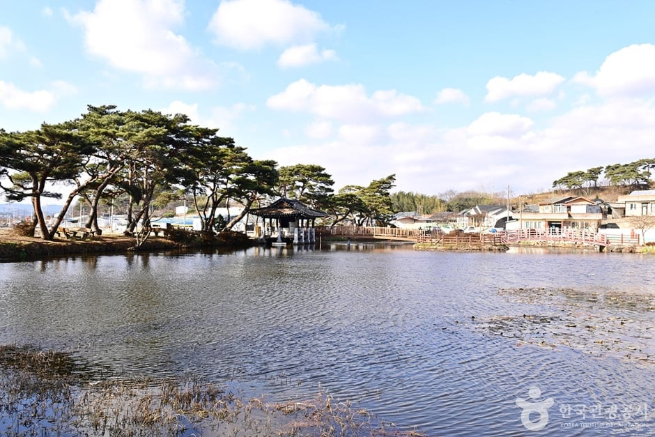 원곡제 여행 추천 - 로드트립