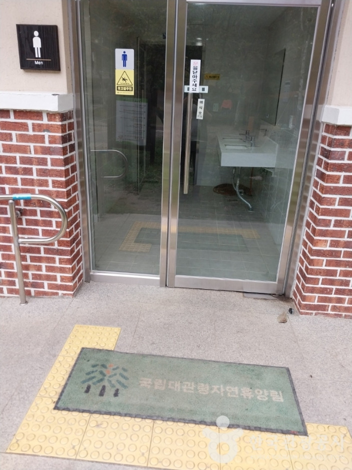 국립대관령자연휴양림 여행 추천 - 로드트립