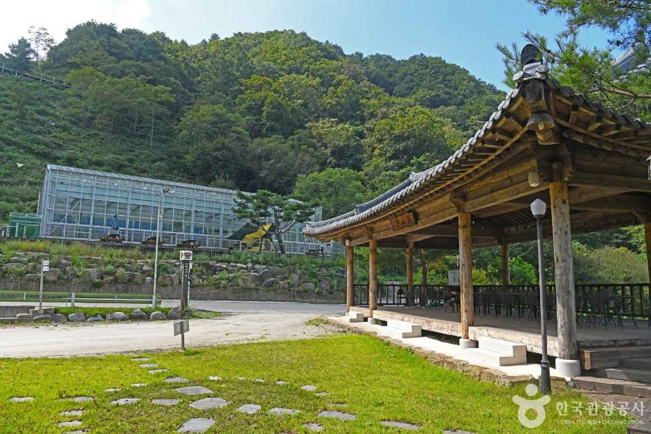 고로쇠마을(미산마을) 여행 추천 - 로드트립
