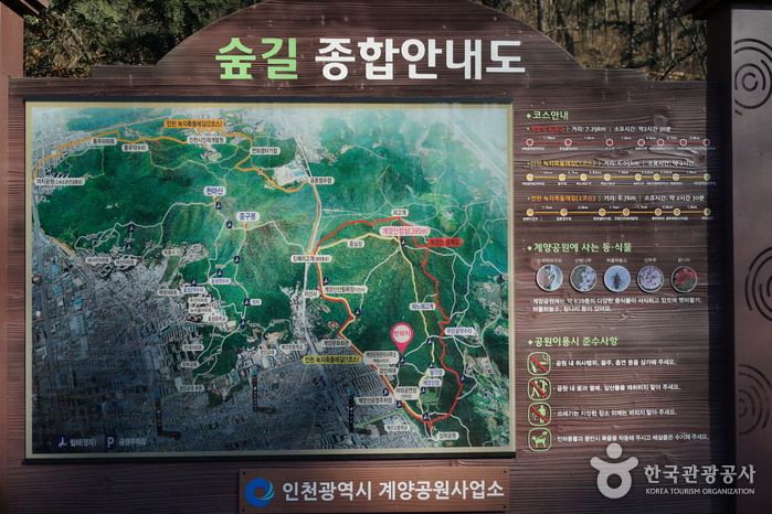 계양공원 여행 추천 - 로드트립
