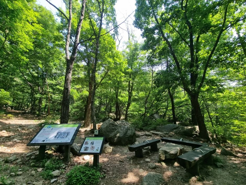 [서울둘레길 19코스] 북한산 성북코스 여행 추천 - 로드트립