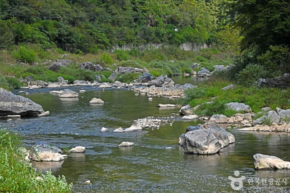 미산계곡 여행 추천 - 로드트립