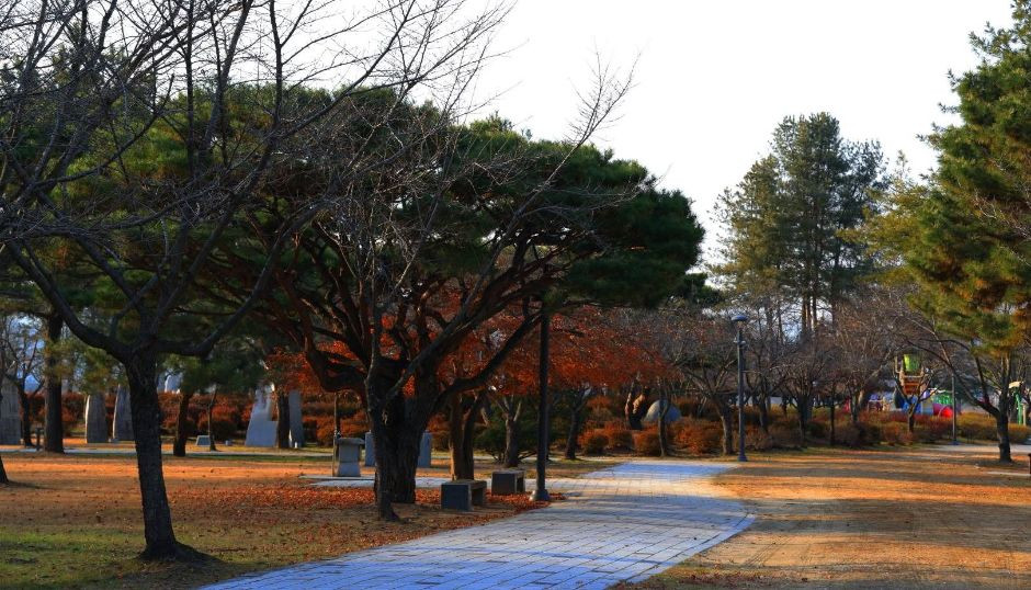 부여 백마강 친환경 자전거길 여행 추천 - 로드트립