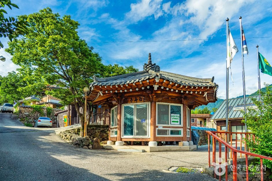 하동 삼신녹차마을 여행 추천 - 로드트립