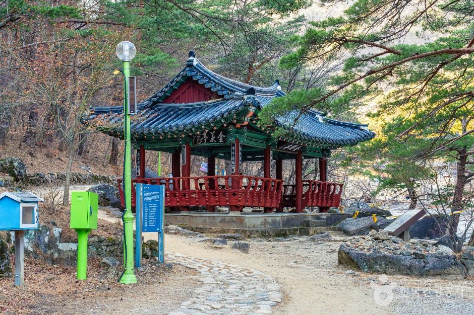 금란정 여행 추천 - 로드트립