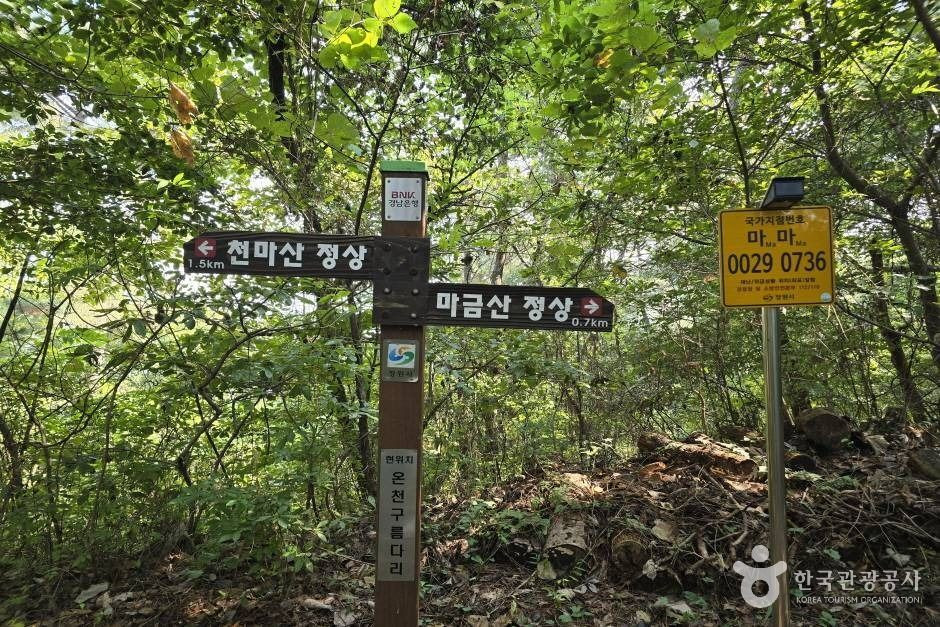마금산 여행 추천 - 로드트립