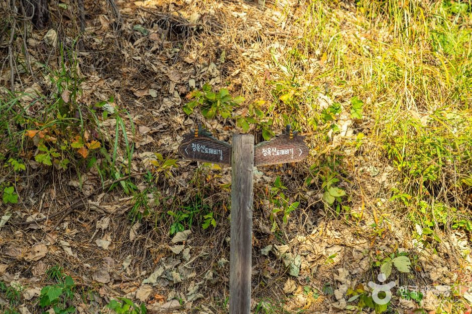 청옥산 도깨비길 여행 추천 - 로드트립