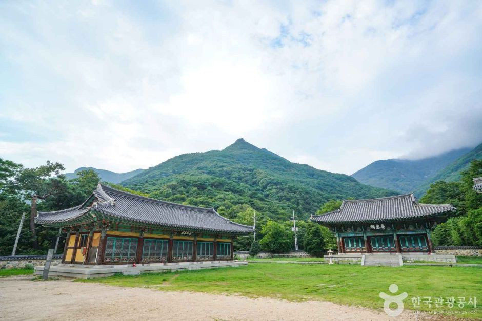 표충서원 여행 추천 - 로드트립