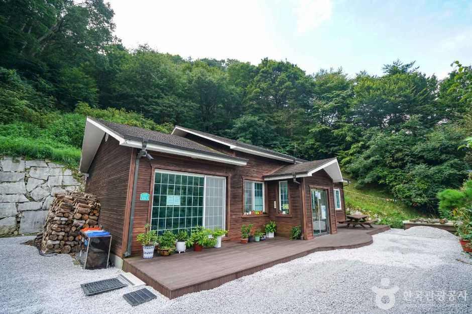 산삼 자연휴양림 여행 추천 - 로드트립