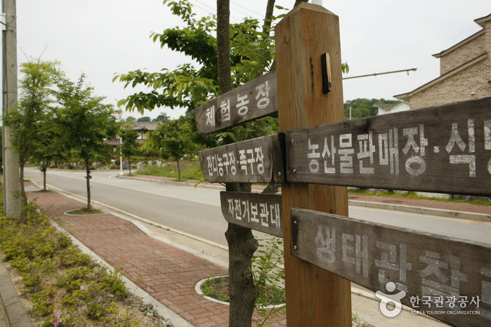 해마루촌 여행 추천 - 로드트립
