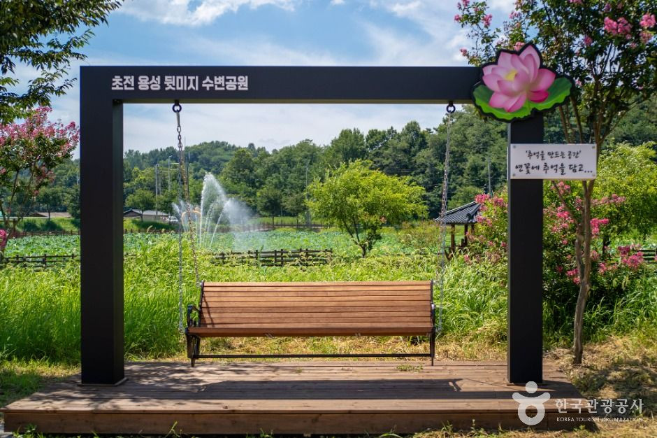 뒷미지수변공원 여행 추천 - 로드트립